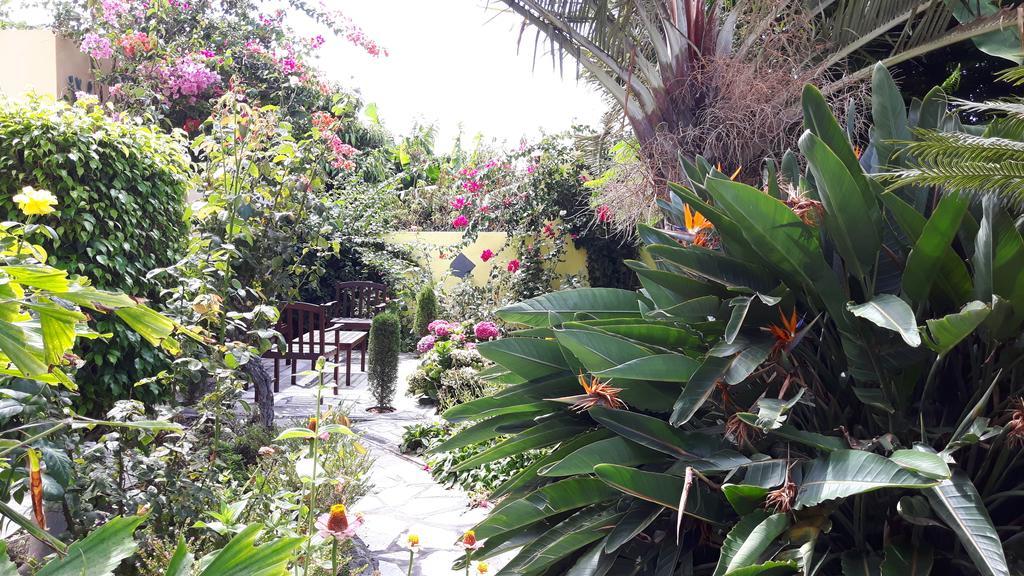 Mi Jardin Villa Frontera Exterior photo