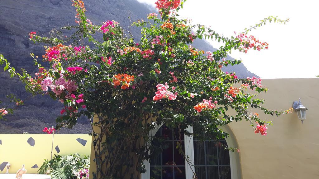 Mi Jardin Villa Frontera Exterior photo